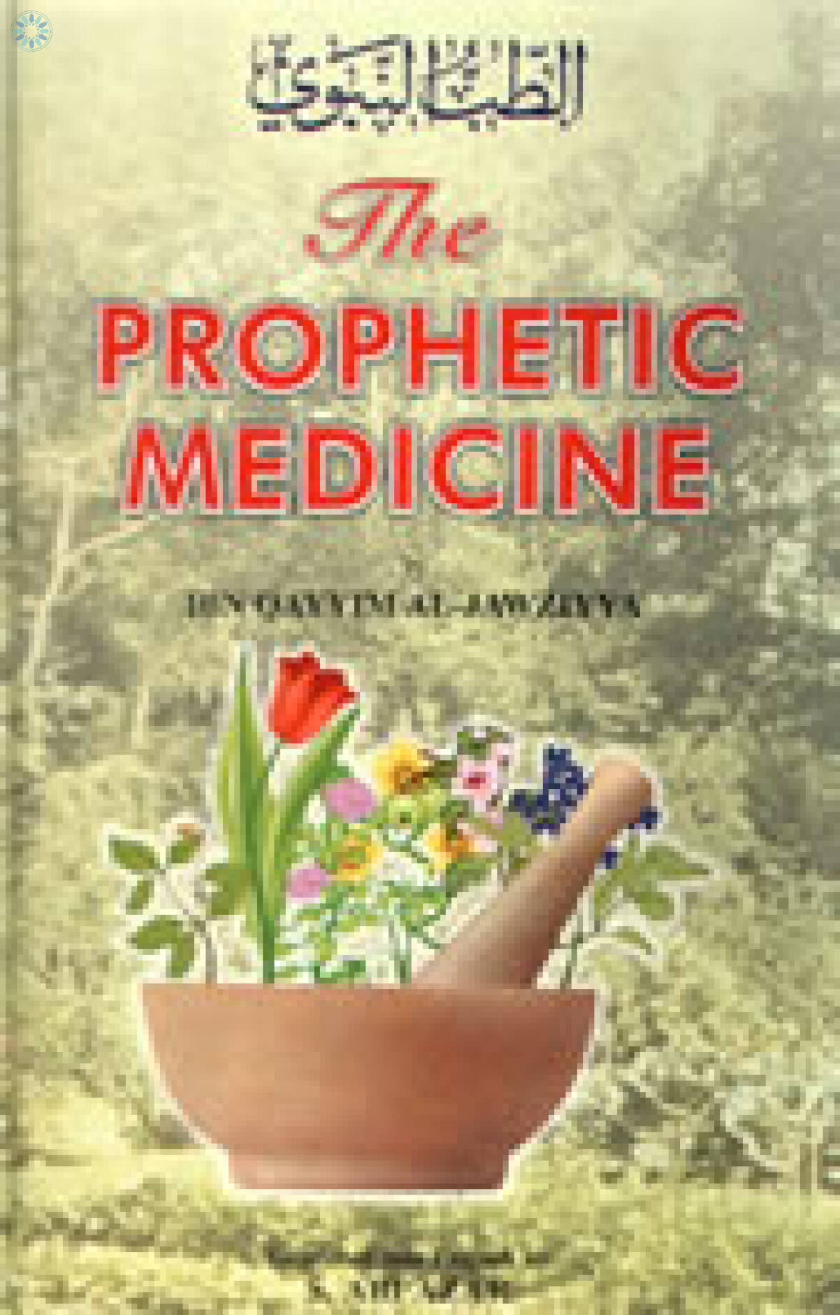 Books › Medicine & Dreams › The Prophetic Medicine