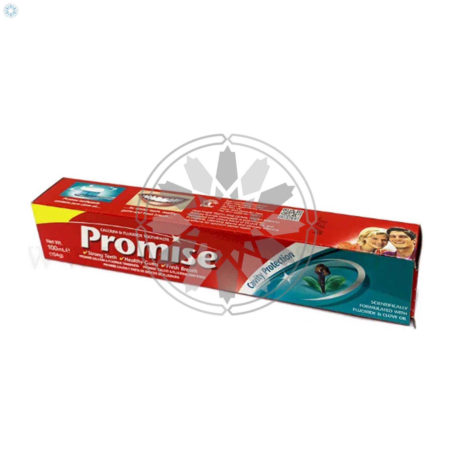 Health › Tooth Paste › Dabur Promise Herbal Toothpaste Clove